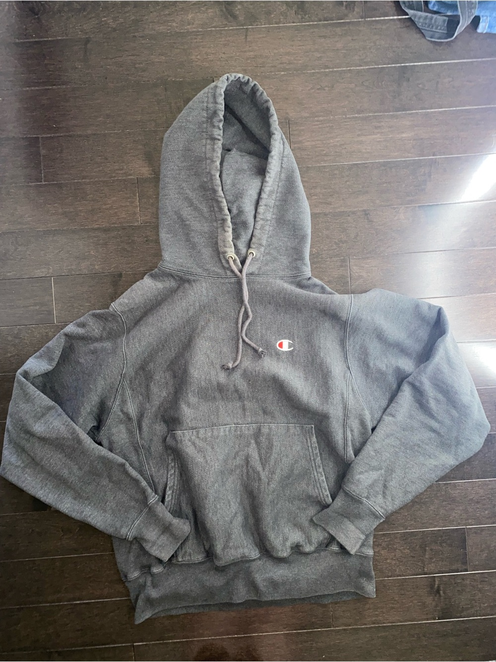 Champion women’s Gray Hooded Pullover Sweatshirt